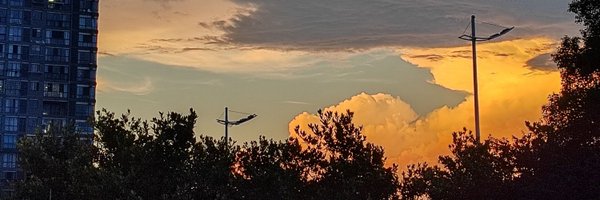 aaananzi Profile Banner