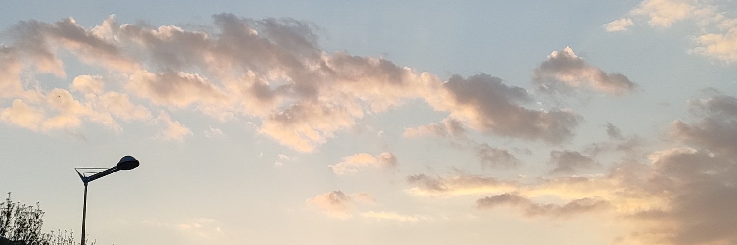 肆拾朵晚霞 banner