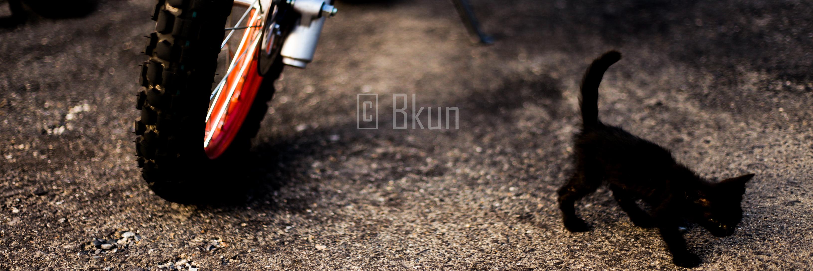 1Bkun1's profile banner image