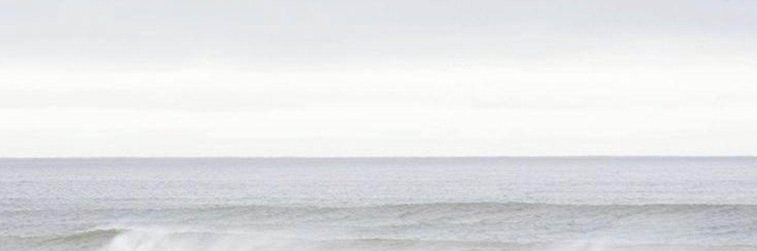 𓍼 banner