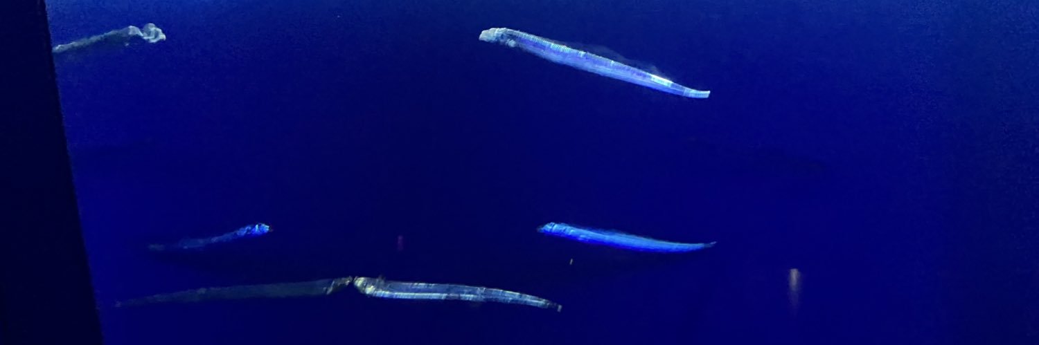 むのんちゅ banner
