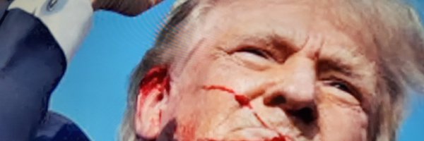 Always_Trump24 Profile Banner