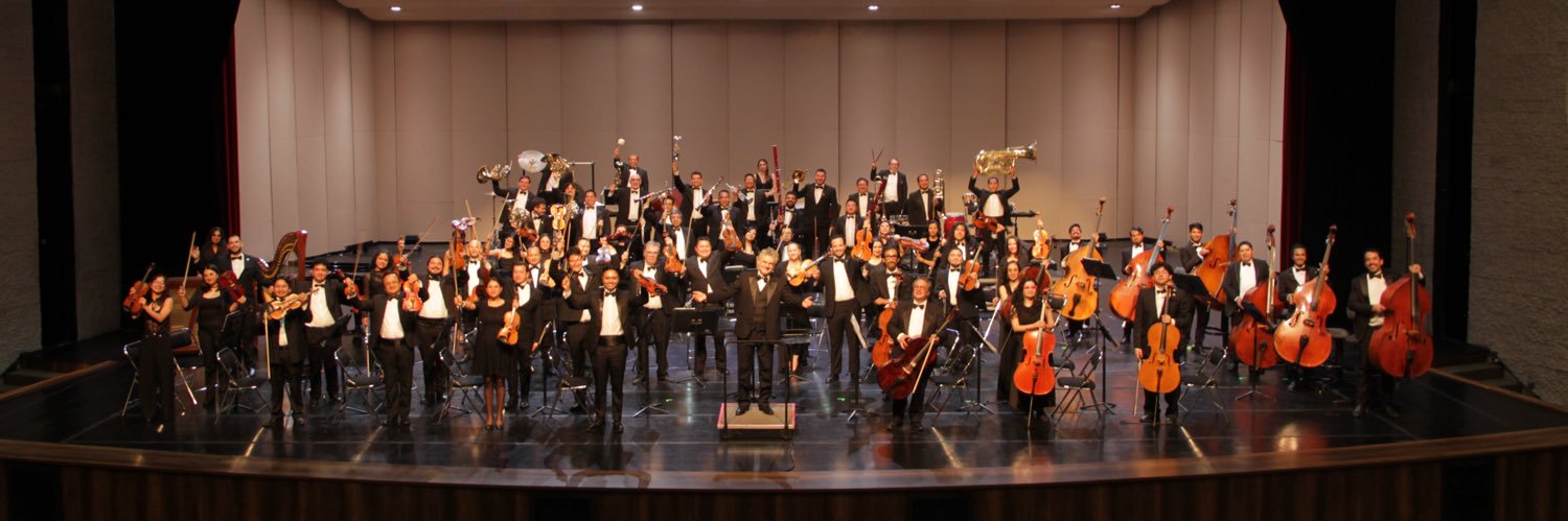 sinfonicaosne's profile banner image