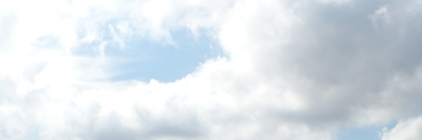 MoonAntlers's profile banner image