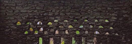 tharcyn's profile banner image