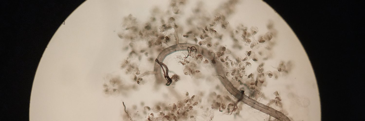 Julia González banner