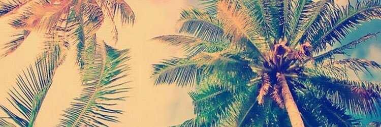 cglenn1109's profile banner image