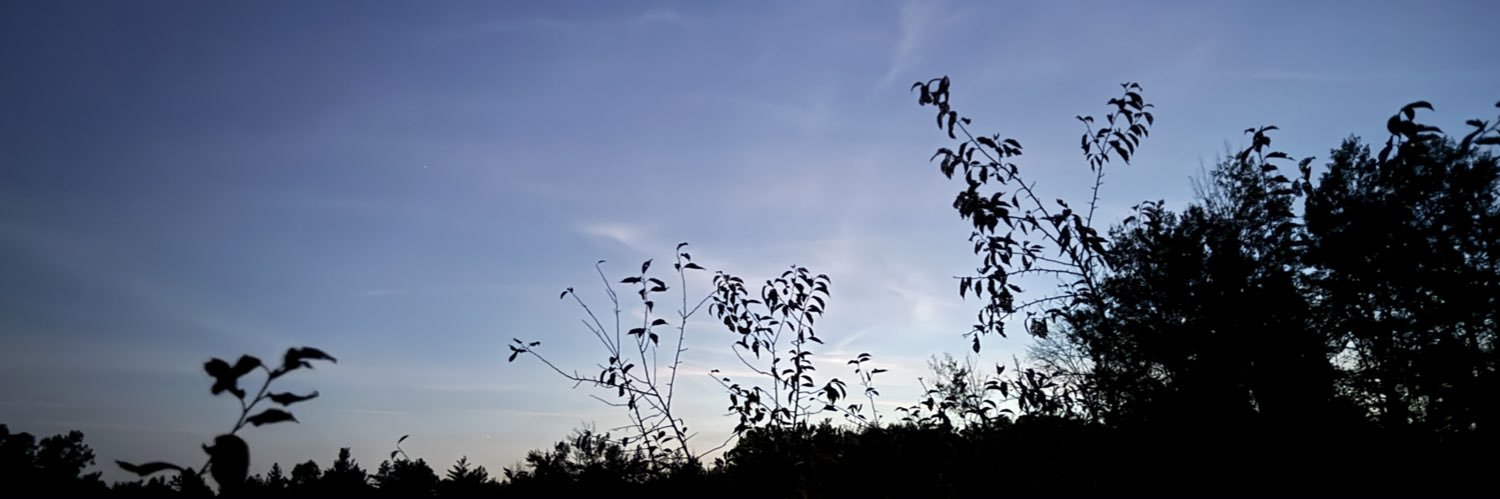 PureGreySilence's profile banner image