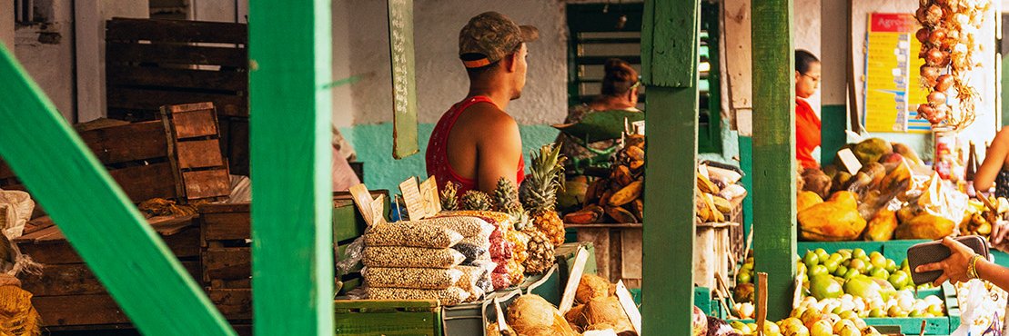 Community Food for Planetary Health banner