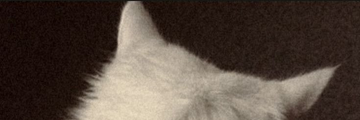 a4ss_'s profile banner image