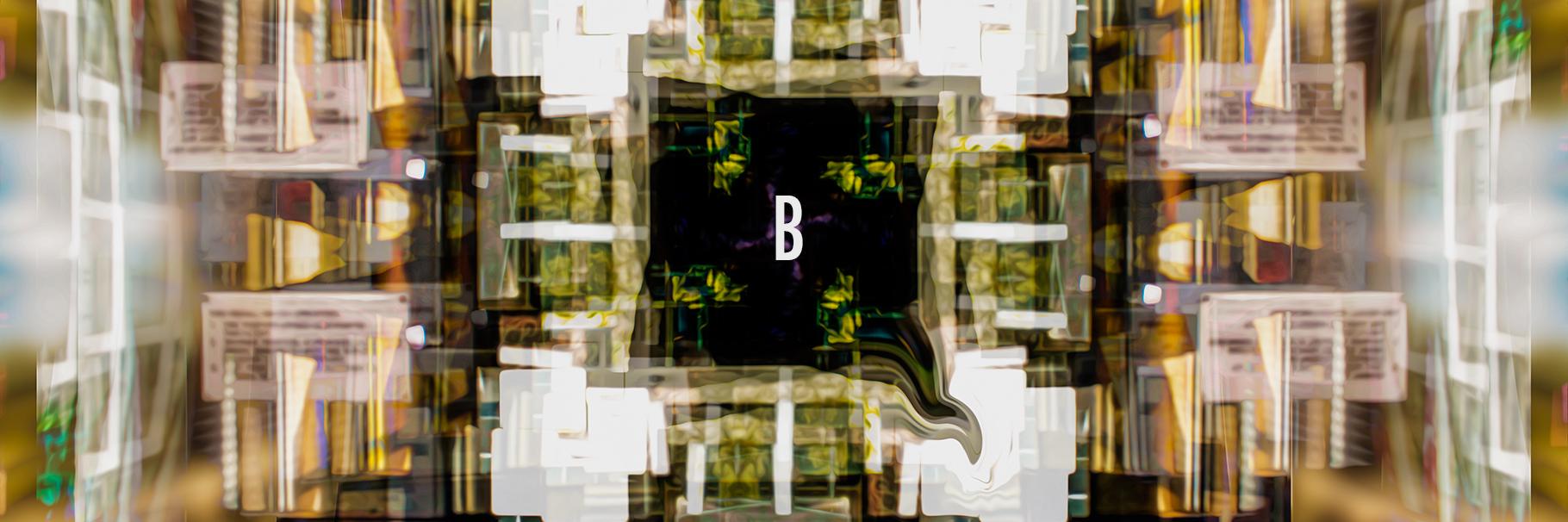 borninitiative's profile banner image