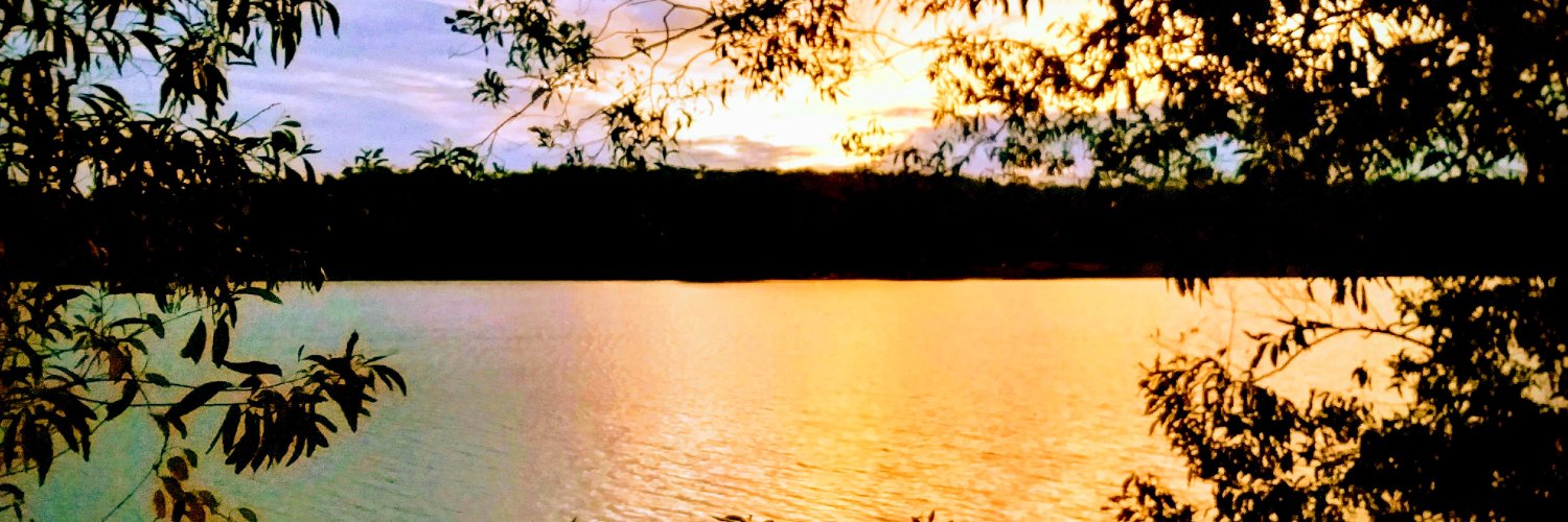 NelsonPK007's profile banner image