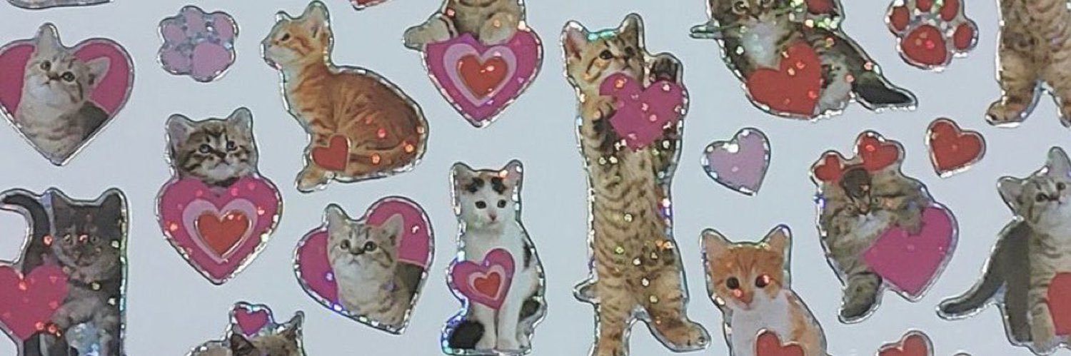 ✿ Sierra ₊˚⊹ banner