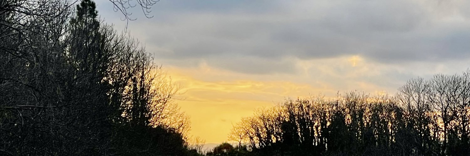 ChemaMosd15194's profile banner image