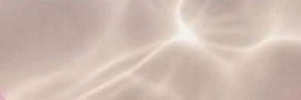 bae_shak12 Profile Banner