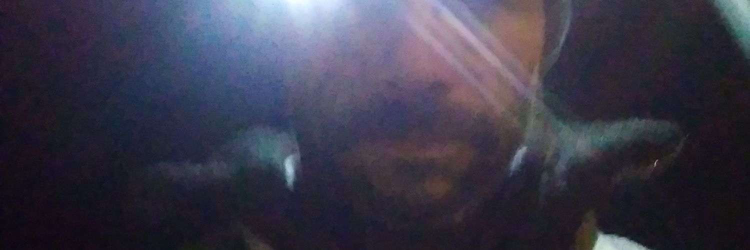 SenospeedM's profile banner image