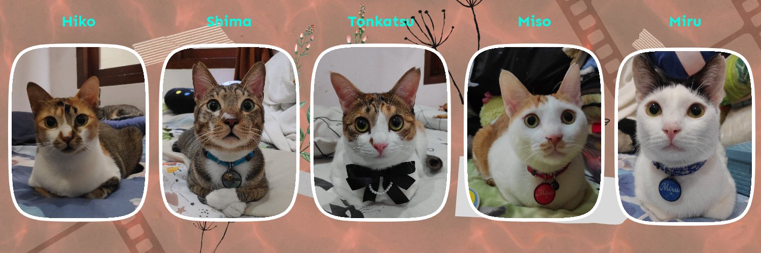Hiko 🐈 banner