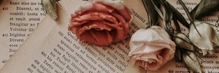 giulidelg's profile banner image