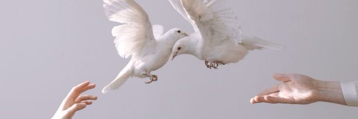 𝕯𝖎🌙𝖒𝖆 banner