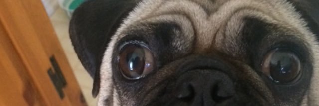 hailey_herrick's profile banner image