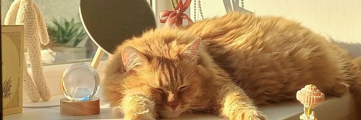 vzosta's profile banner image