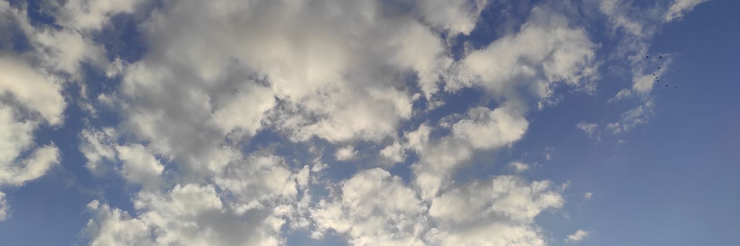 Laila_drbas's profile banner image