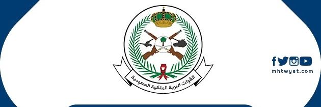 عٍلُيَ آلُ عٍآمرٍ banner