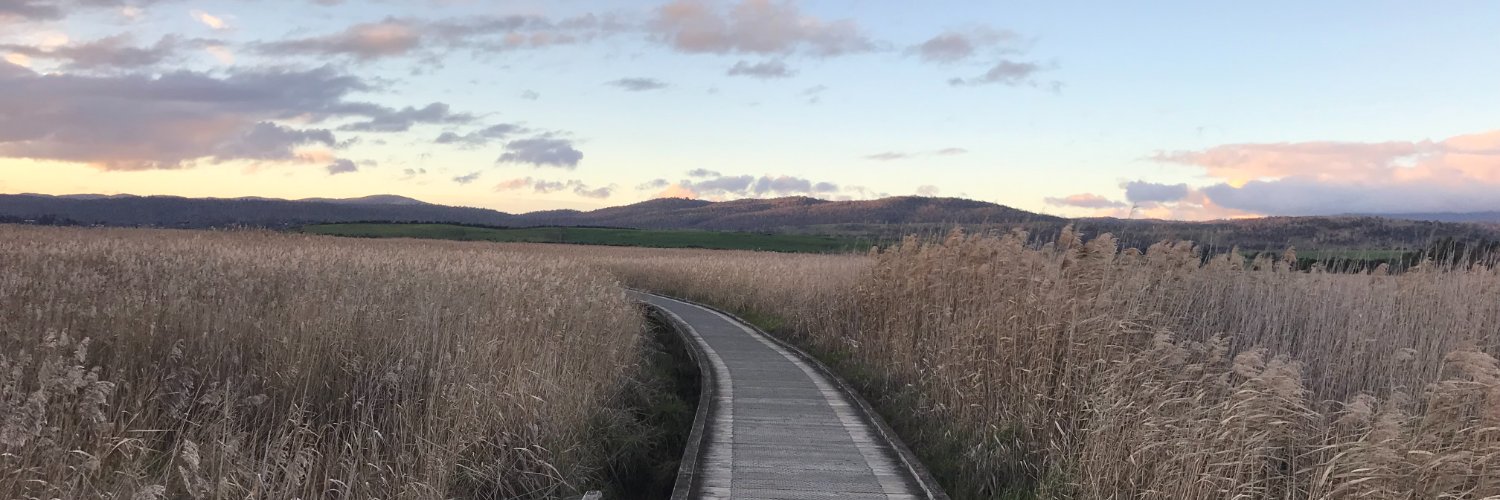 rodymoore's profile banner image