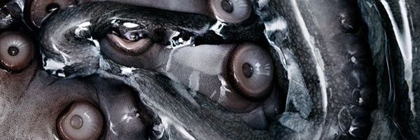 WokeLabubu banner