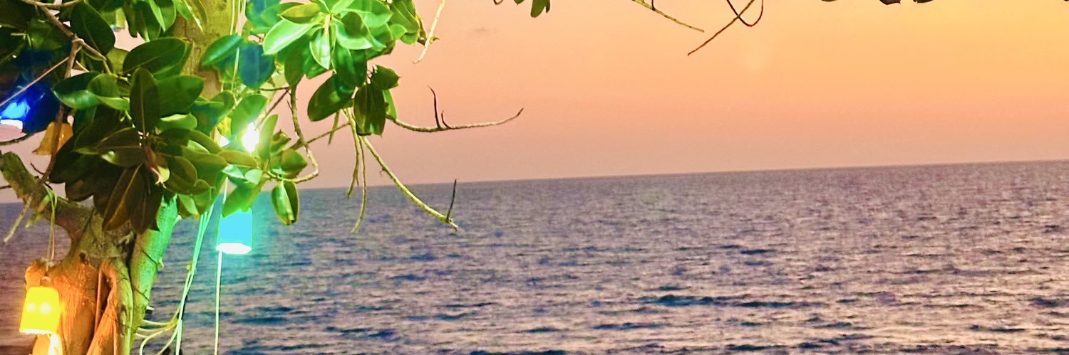 Dılvin Çakı banner