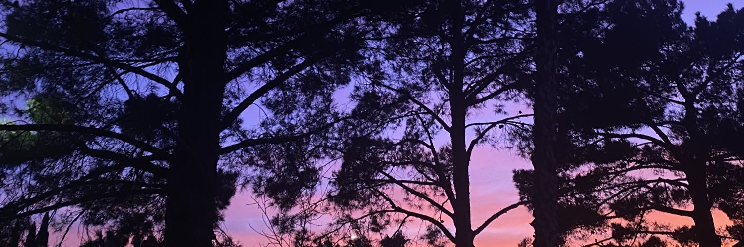 ☯︎ banner