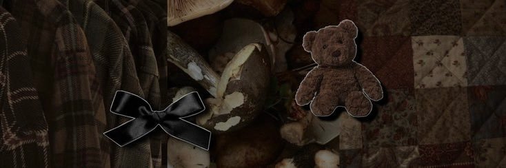 minne ✧ banner