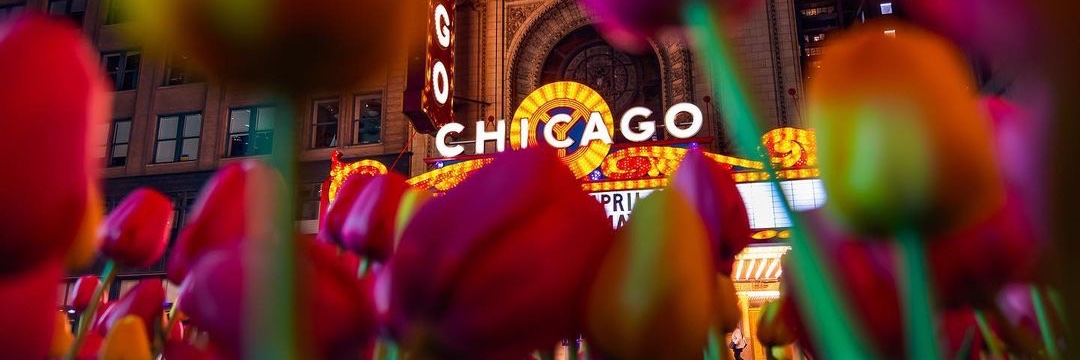 Una simple opinión/ just my point of view banner