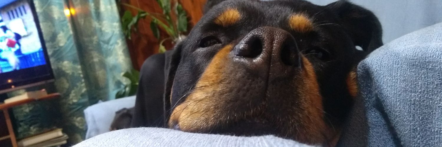 AgusJGonzalez's profile banner image