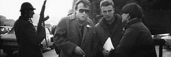 The pipistrelle banner