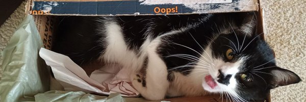 fortunefav91296 Profile Banner