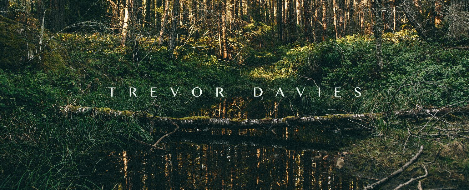 trevormusic's profile banner image