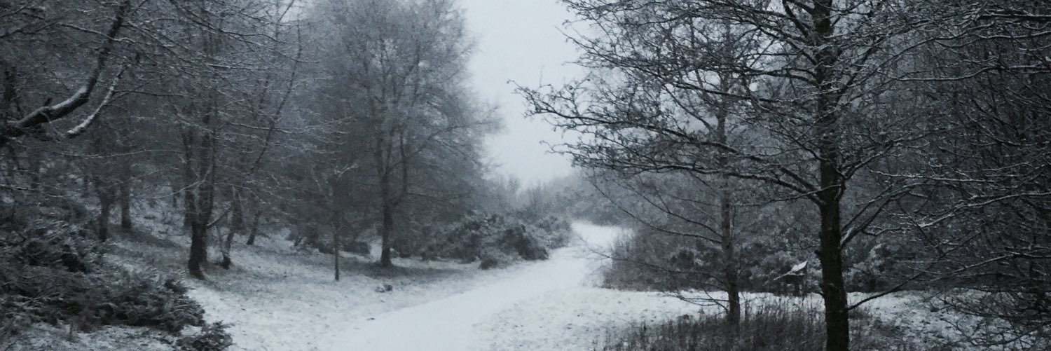 sjwburn's profile banner image