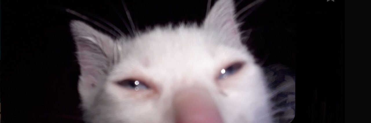 meudeusaurora's profile banner image