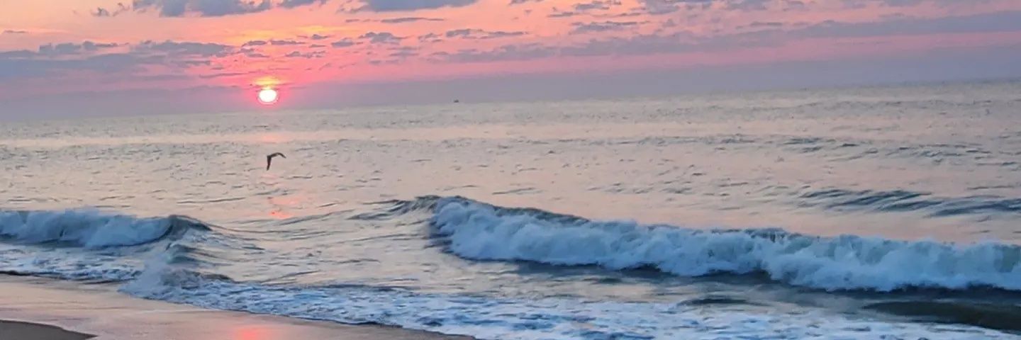 SweetUpandDown's profile banner image