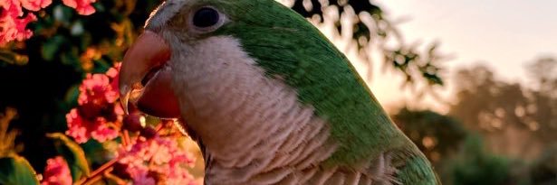 VickyBuet1's profile banner image