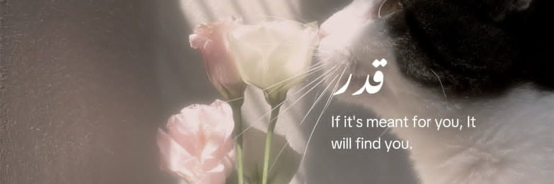 𐙚sazky²⁶ banner