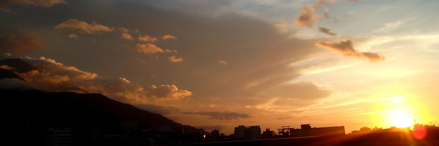sarasvst's profile banner image