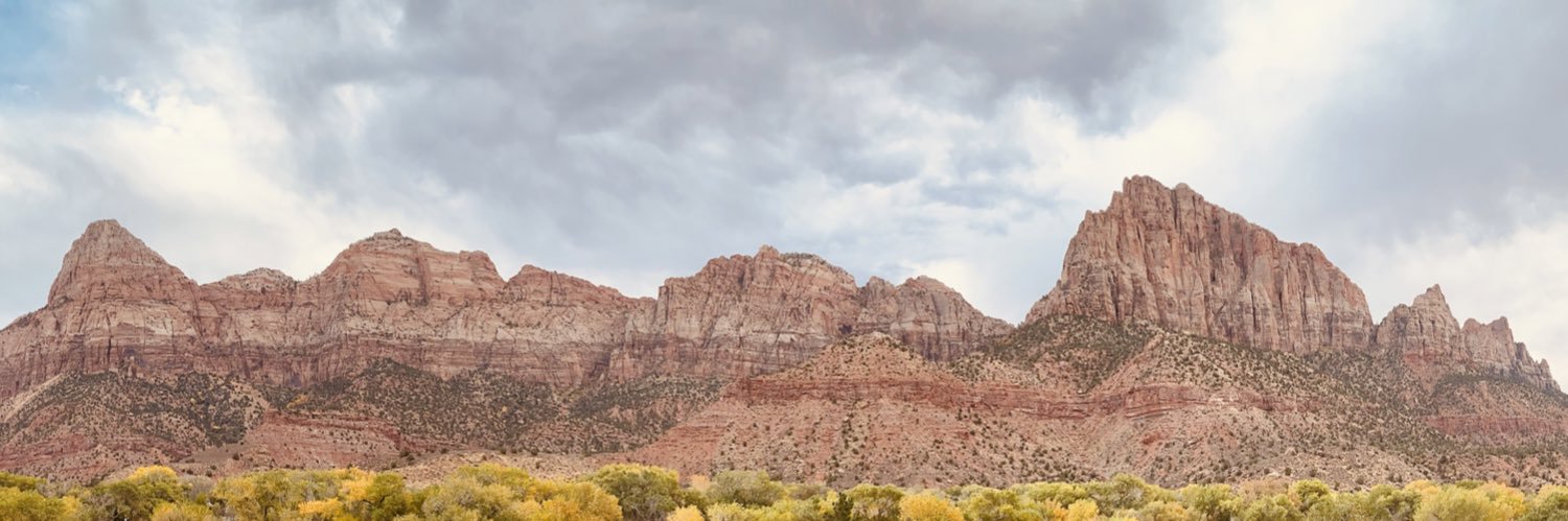 Will Neville-Rehbehn banner