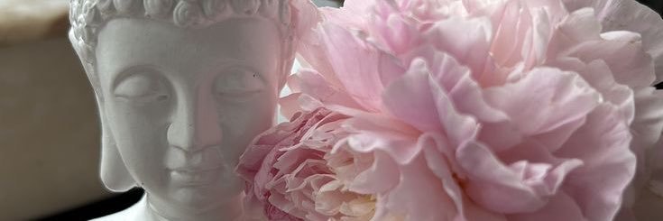 iswetyprincess's profile banner image