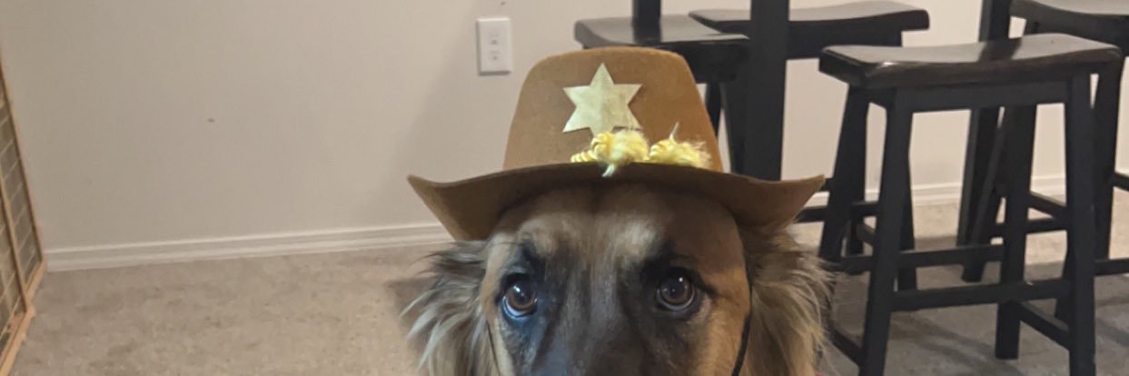 carlygrray's profile banner image