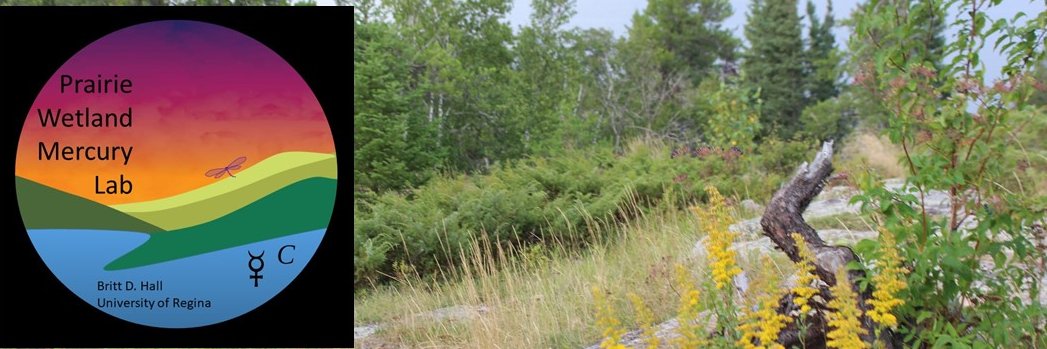 brittdhall's profile banner image