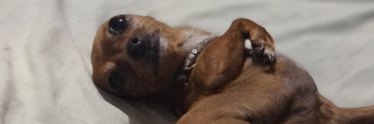 SoleLovesYou's profile banner image