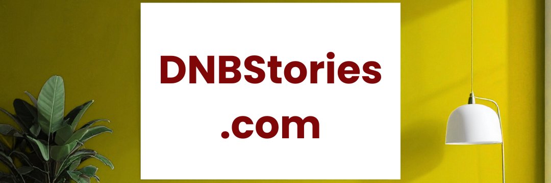 DNBStories's profile banner image