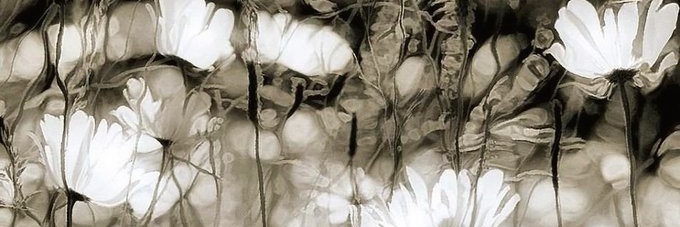 أسماء.. banner